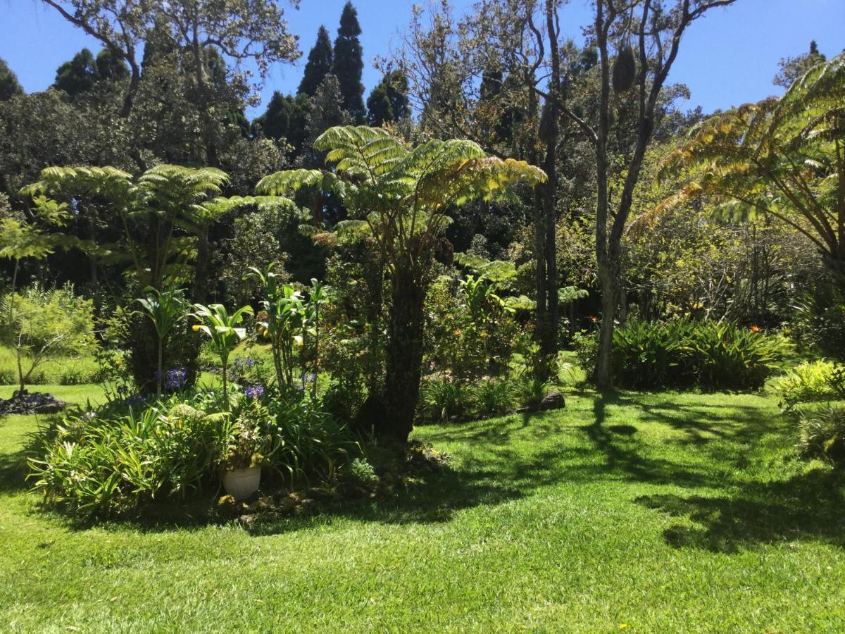 Hale 'Ohu Bed & Breakfast Volcano Εξωτερικό φωτογραφία