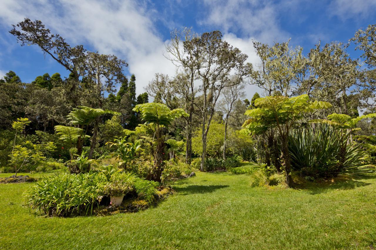 Hale 'Ohu Bed & Breakfast Bed and Breakfast Volcano Εξωτερικό φωτογραφία