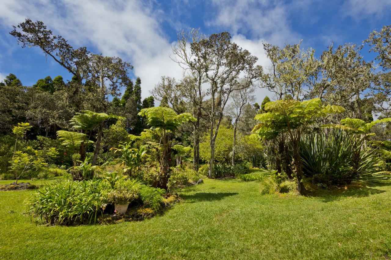 Hale 'Ohu Bed & Breakfast Volcano Εξωτερικό φωτογραφία